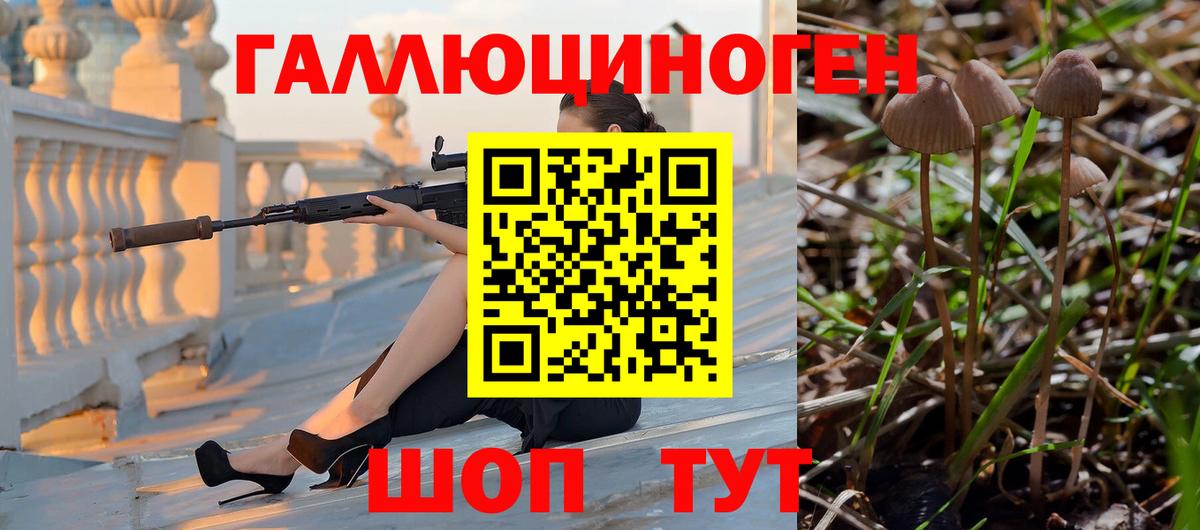Галлюциногенные грибы Cubensis Михайловск