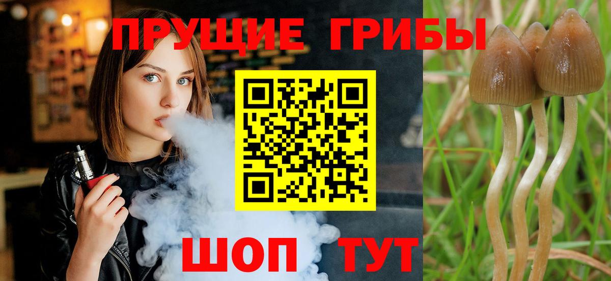 Псилоцибиновые грибы мухоморы  Вход с VPN  Михайловск  закладка  Галлюциногенные грибы мухоморы 